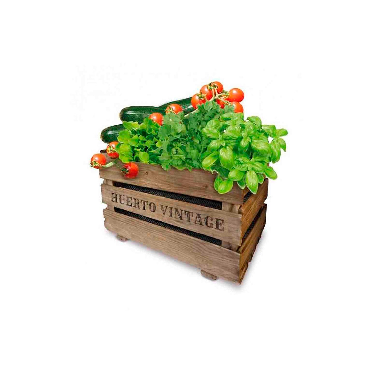 Caja huerto vintage eco agreen