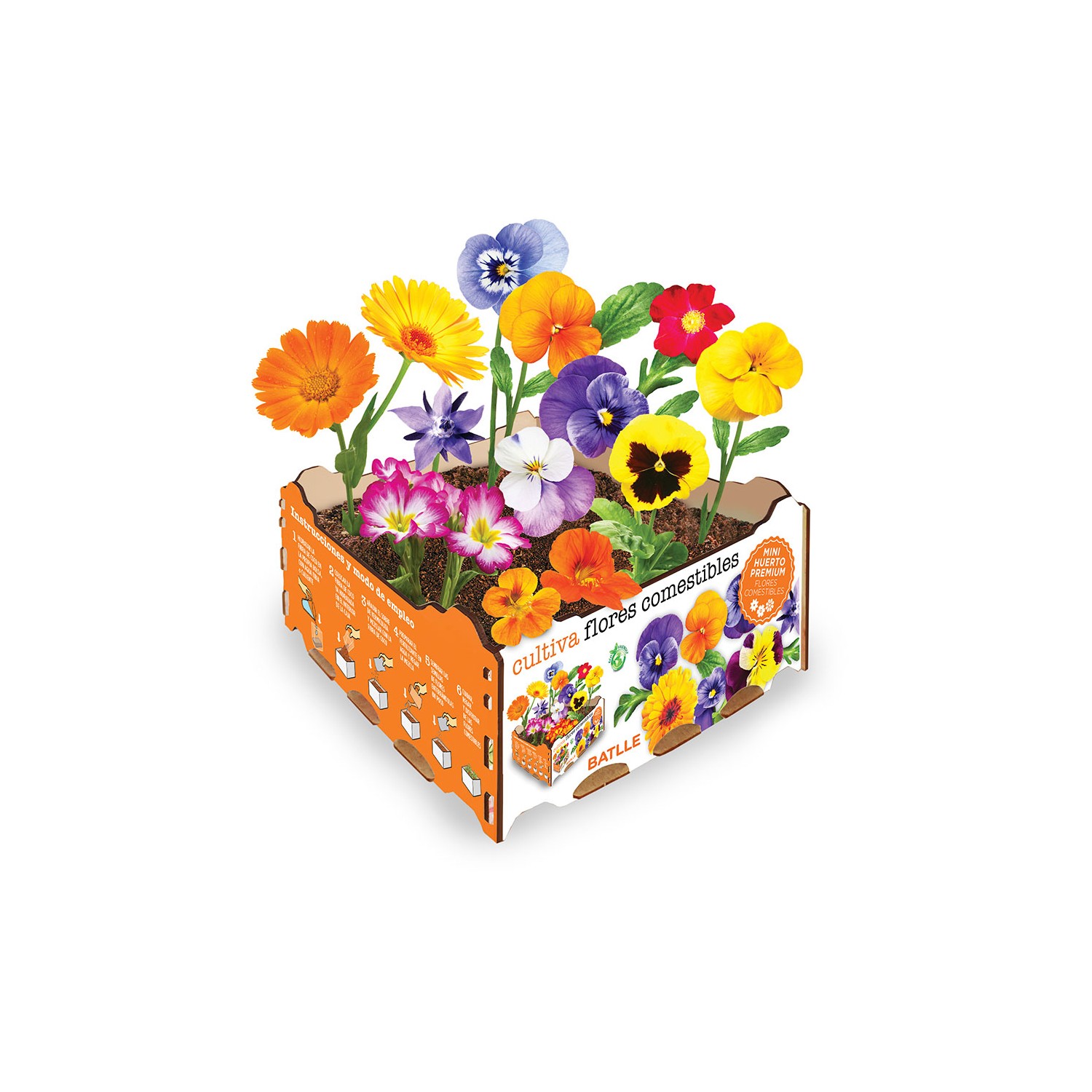 Caja de flores comestibles batlle