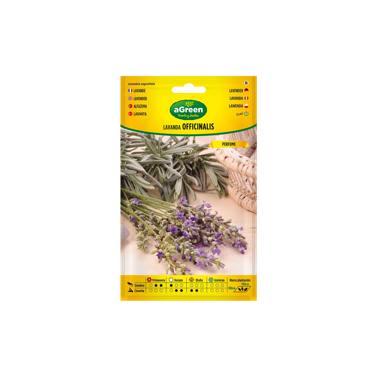 Sobre con semillas de lavanda officinalis 301031bolsh agreen